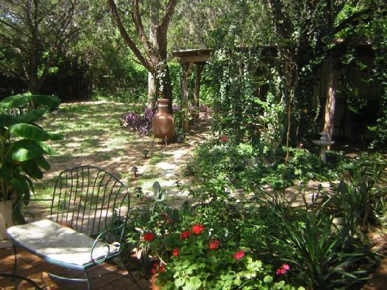 Casa del Sol Bed&Breakfast Lakeway Habitación foto