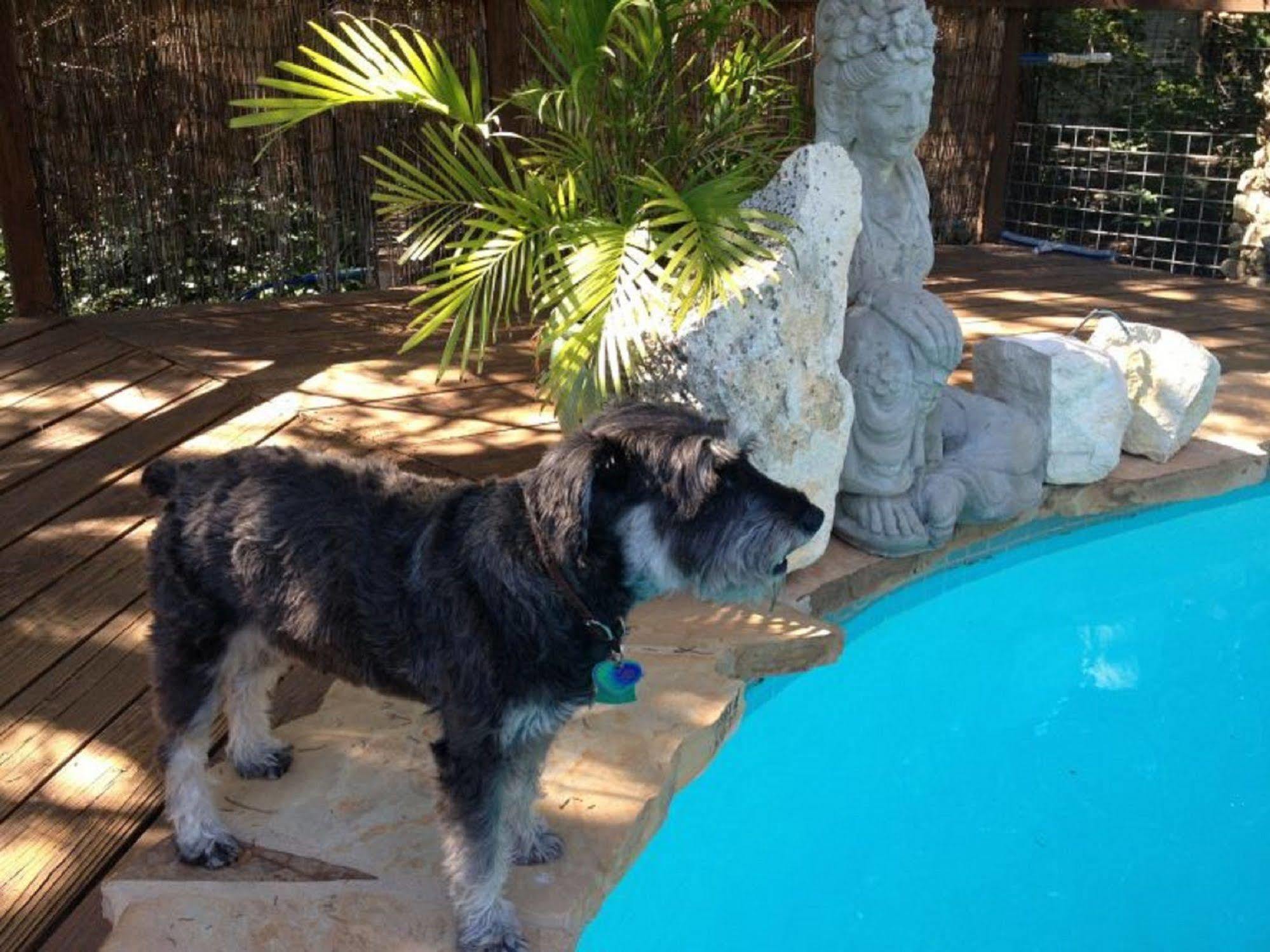 Casa del Sol Bed&Breakfast Lakeway Exterior foto